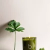 BamfordGeranium Candle