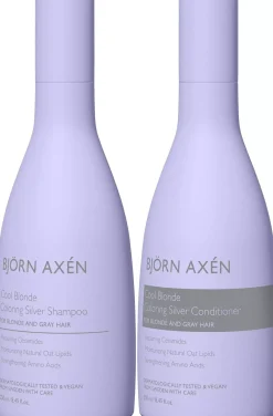 Björn Axén Cool Blonde Coloring Silver Standard