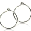 BlomdahlNatural Titanium Safety Ear Ring