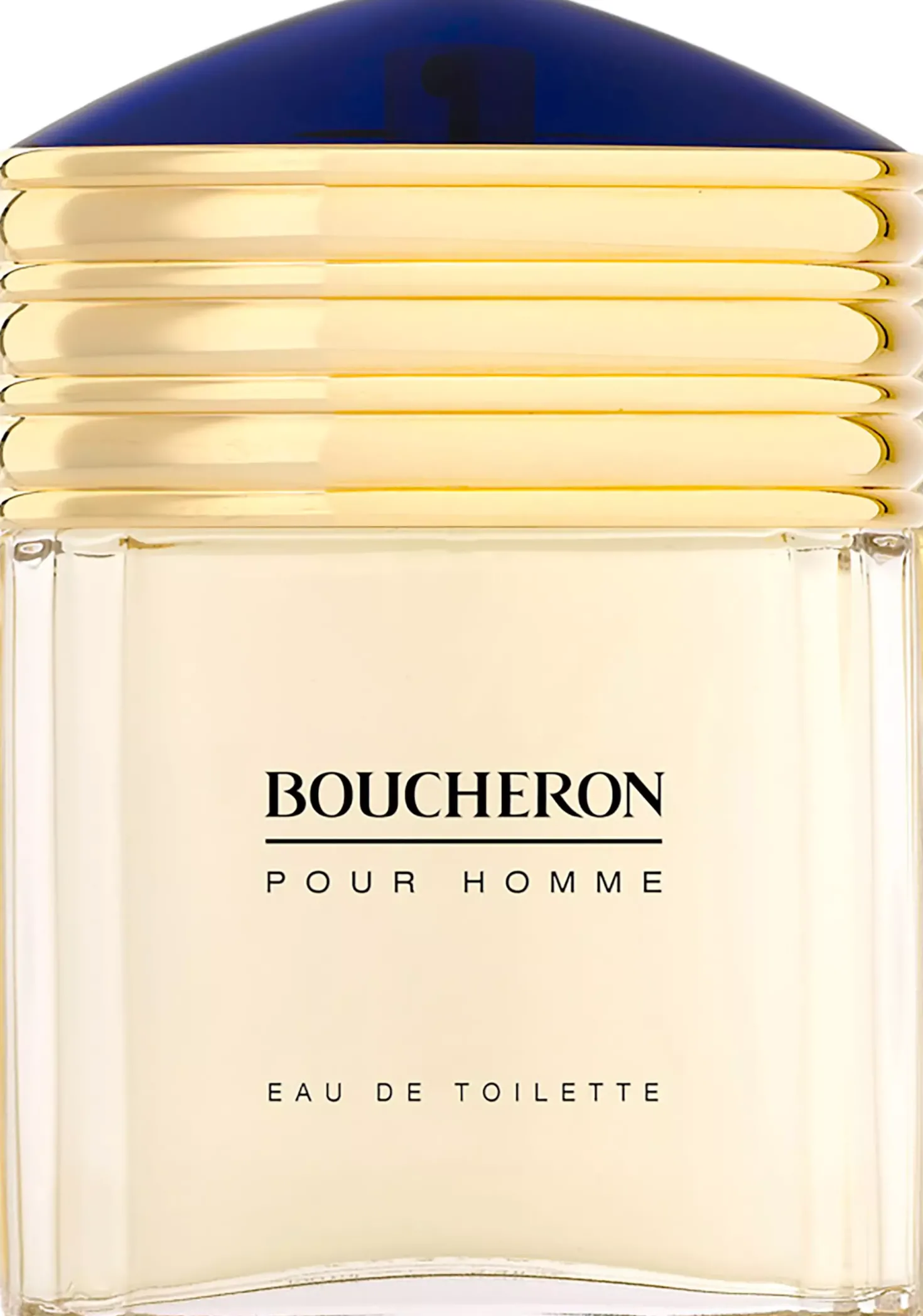 Boucheron Pour Homme Eau de Toilette 100 ml