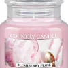 Country CandleBlushberry Frose Mini Jar