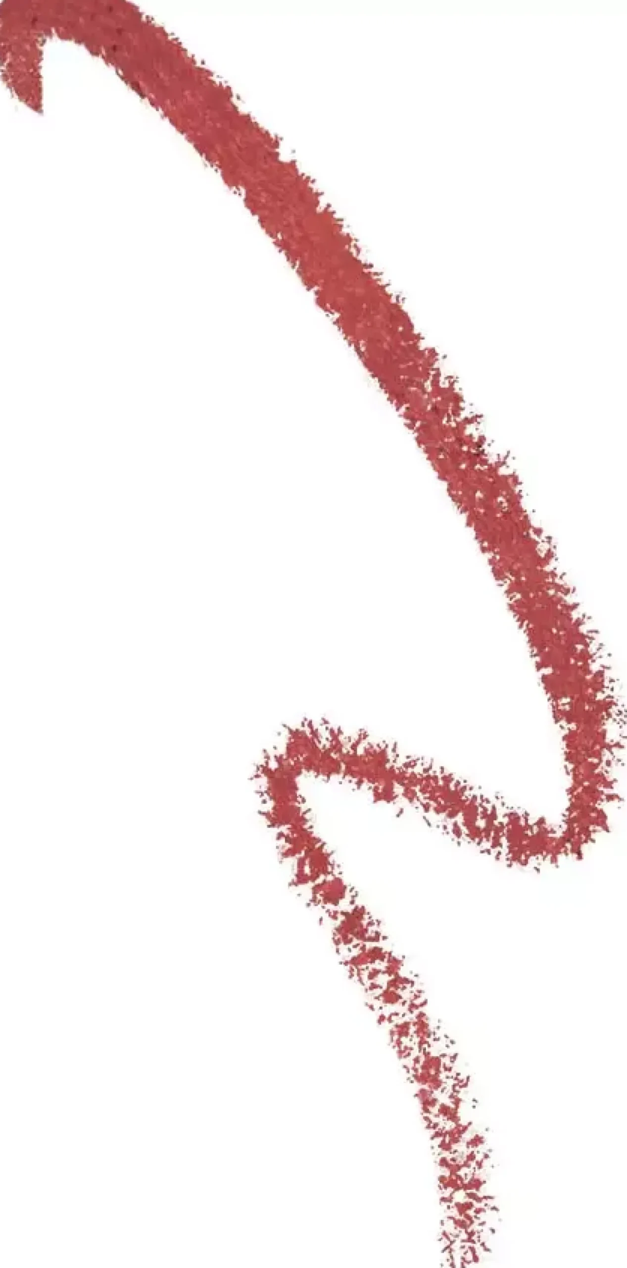 Dashl Read My Lip Liner Ruby Forever