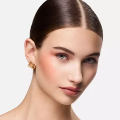 Dolce & Gabbana Cheeks&Eyes Match Lasting Blush & Eyeshadow Powder Refill 06 Playful Rosewod