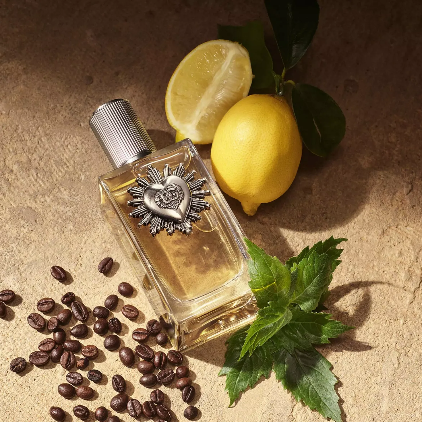 Dolce & Gabbana Devotion Pour Homme Eau de Parfum 10 ml