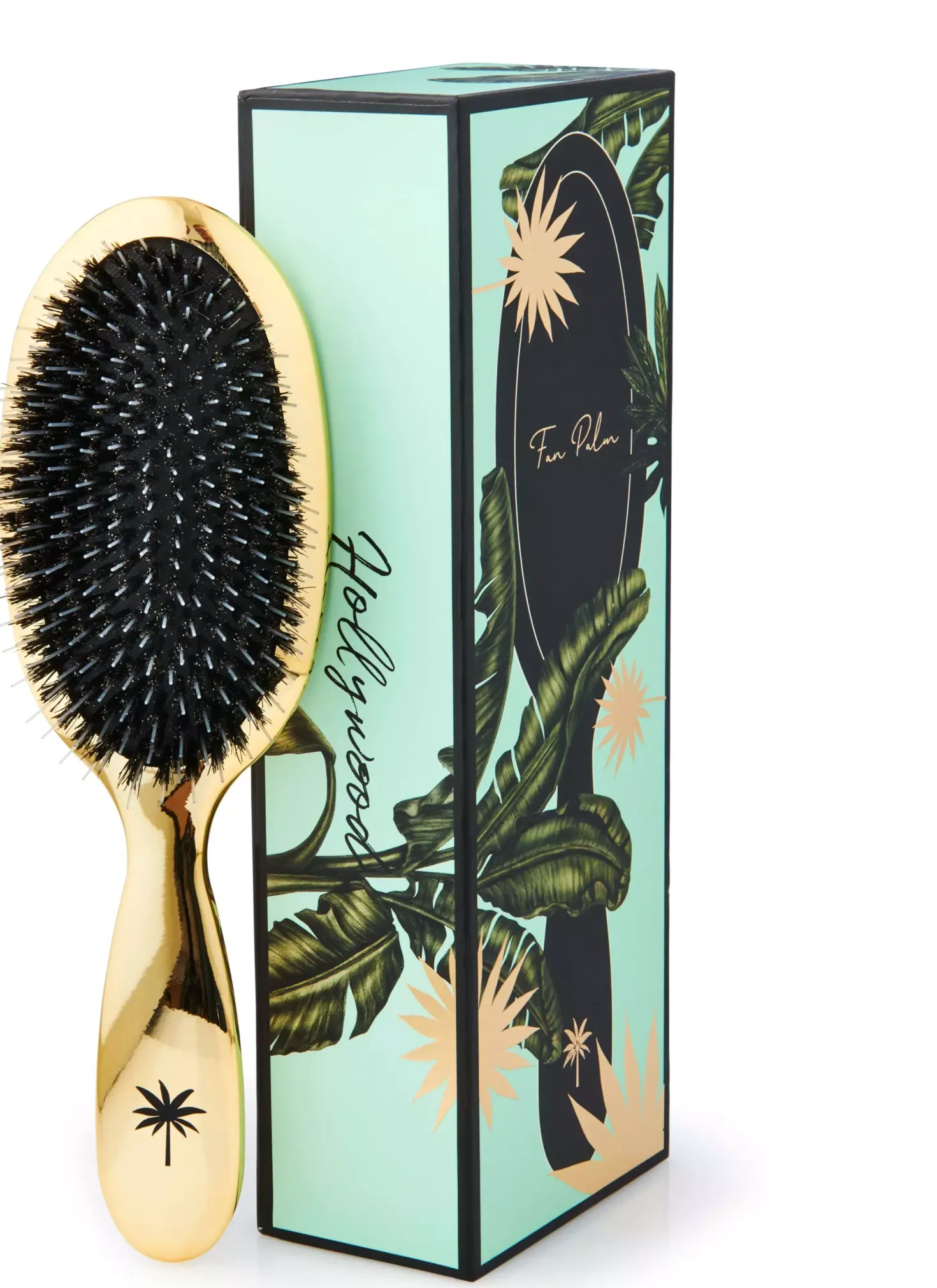 Fan Palm Medium Hollywood Brush