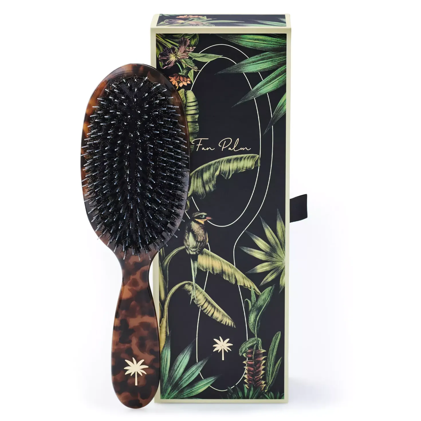 Fan Palm Medium Turtle brush