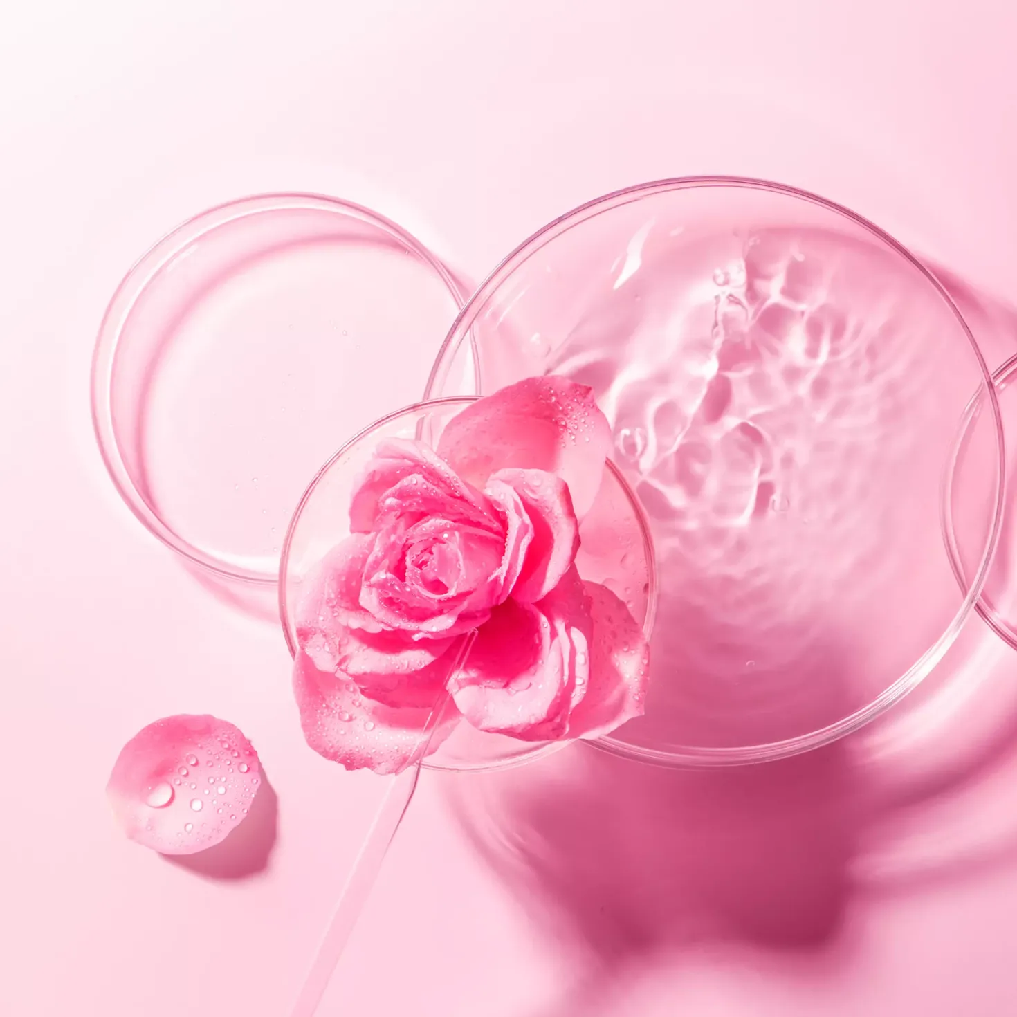 FOREO Bulgarian Rose UFO-Mask