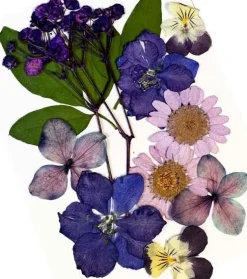 Glitternisti Face Flowers Purple & Greens