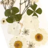 Glitternisti Face Flowers White & Greens
