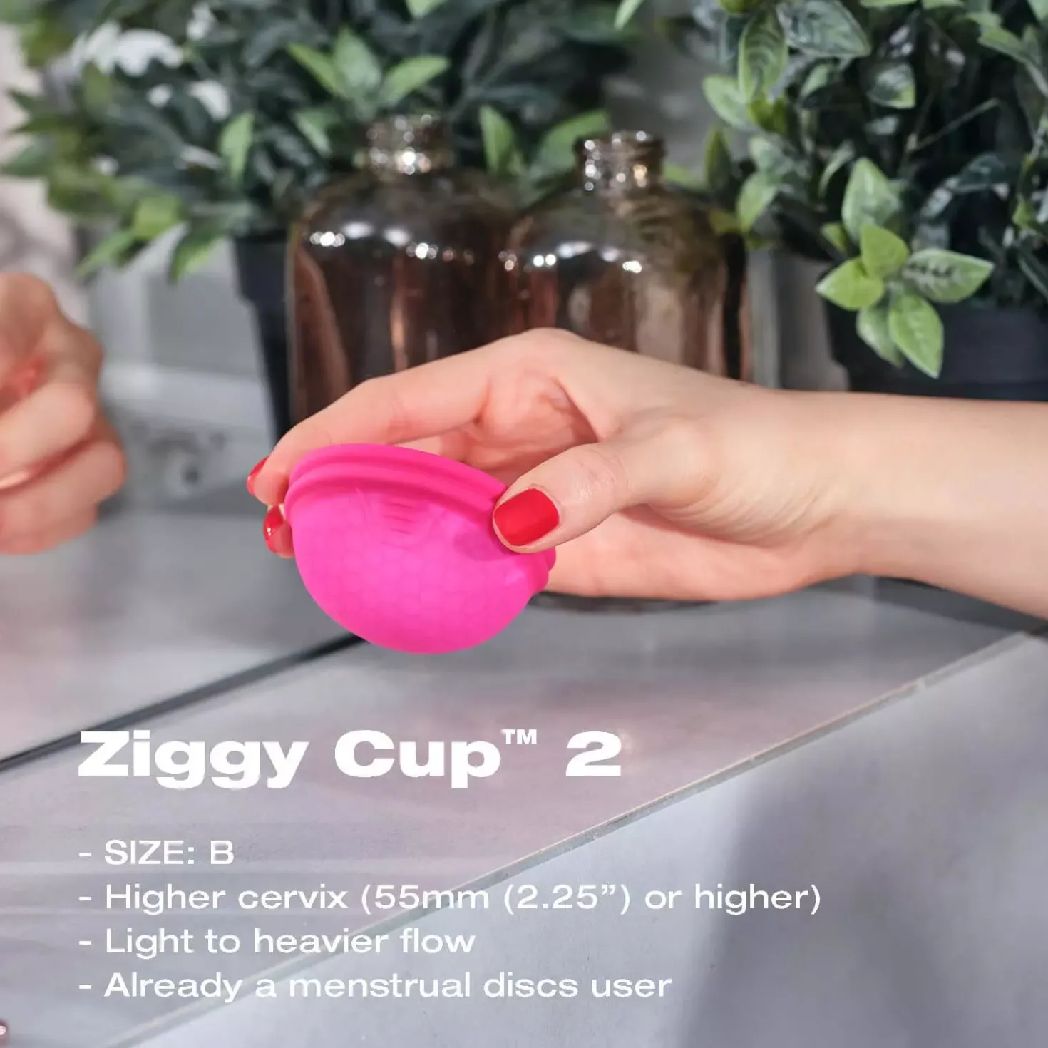 INTIMINA Ziggy Cup 2 B