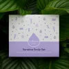 Kokoso Baby Sensitive Scalp Set