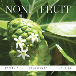 KORA Organics Noni Glow Face Oil 30 ml