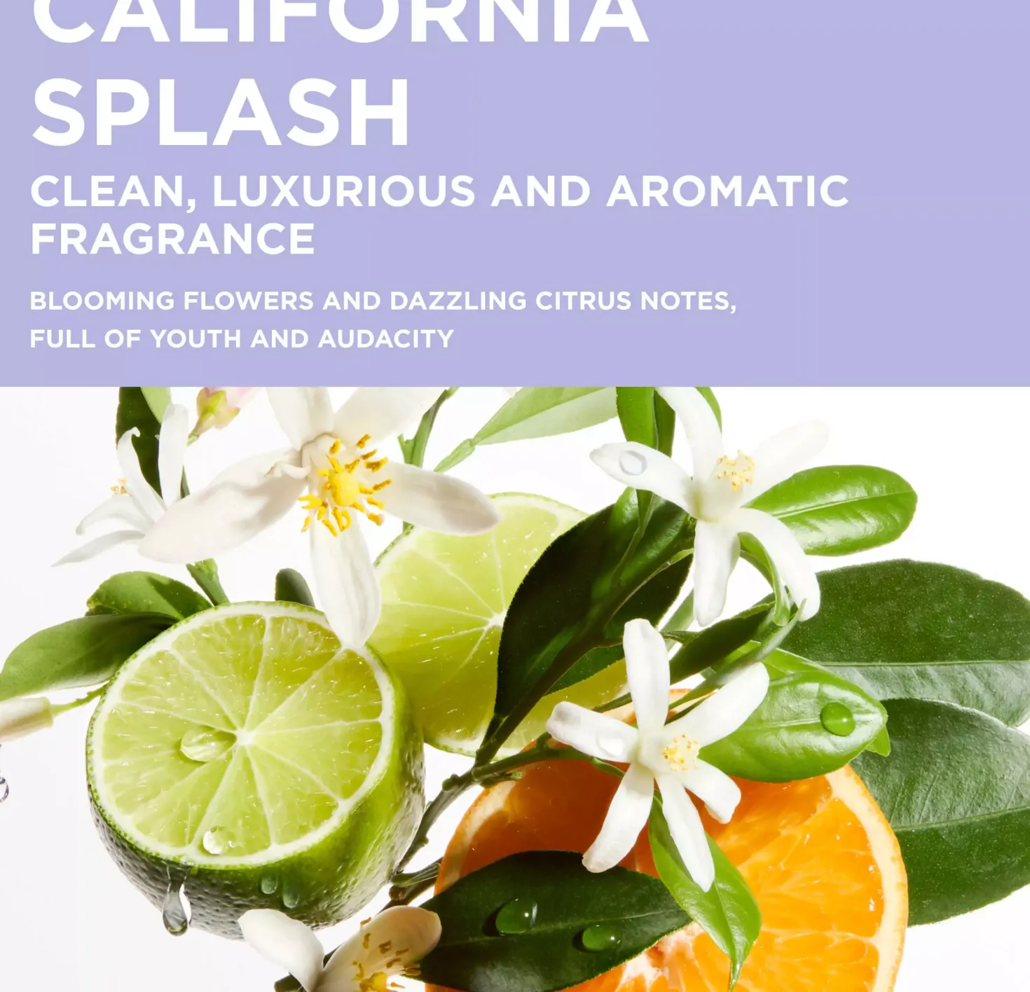 KérastaseBlond Absolu Bain Ultra-Violet Shampoo for lightened, cool blonde or grey hair 250 ml