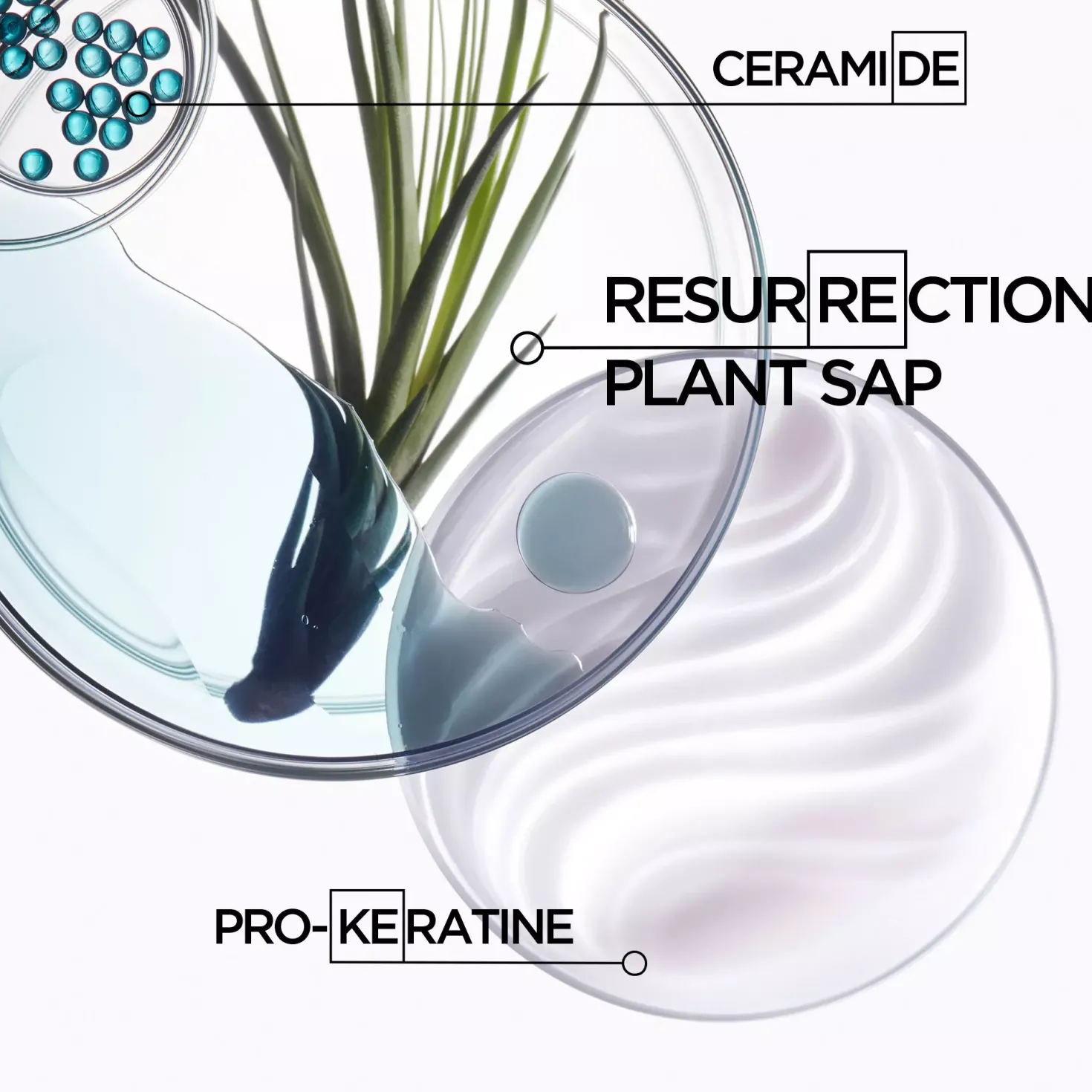 KérastaseResistance Masque Force Architecte hair mask 200 ml
