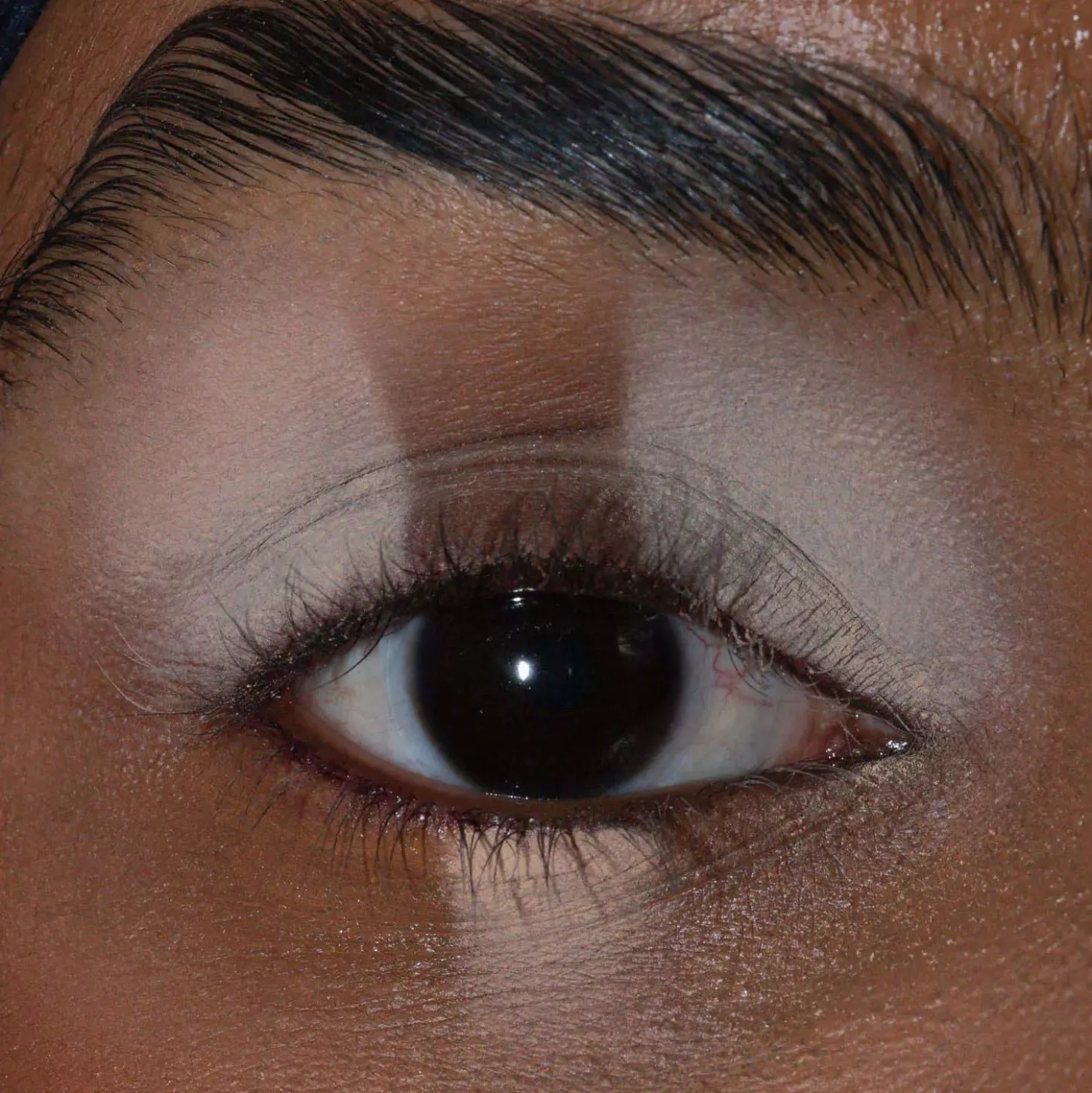 LH cosmetics The Single Thirst Trap