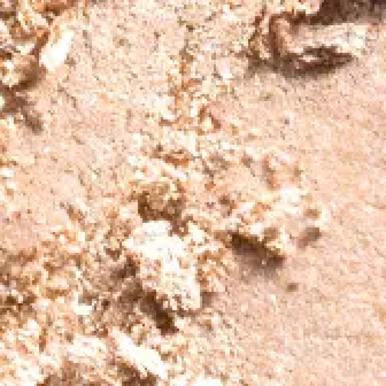 MAC Cosmetics Eye Shadow Pro Palette Refill Uninterrupted