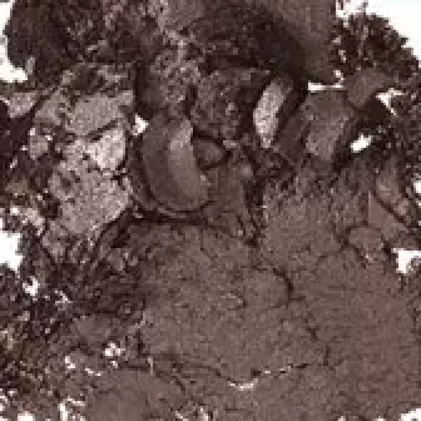 MAC Cosmetics Velvet Pro Palette Refill Sketch