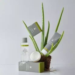 Mühle Aloe Vera Aftershave Lotion 125 ml