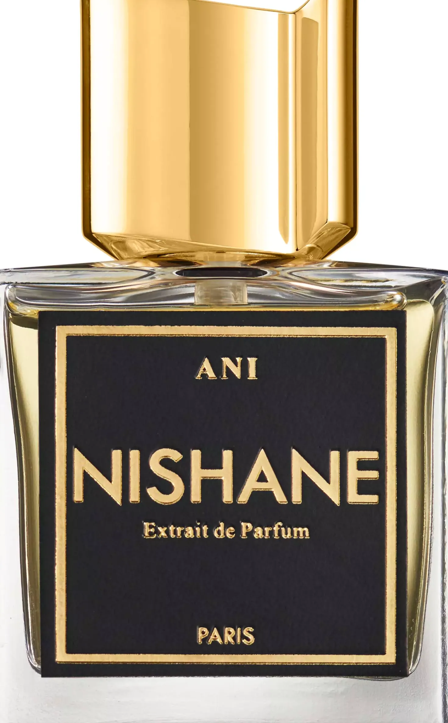 Nishane Ani 100 ml