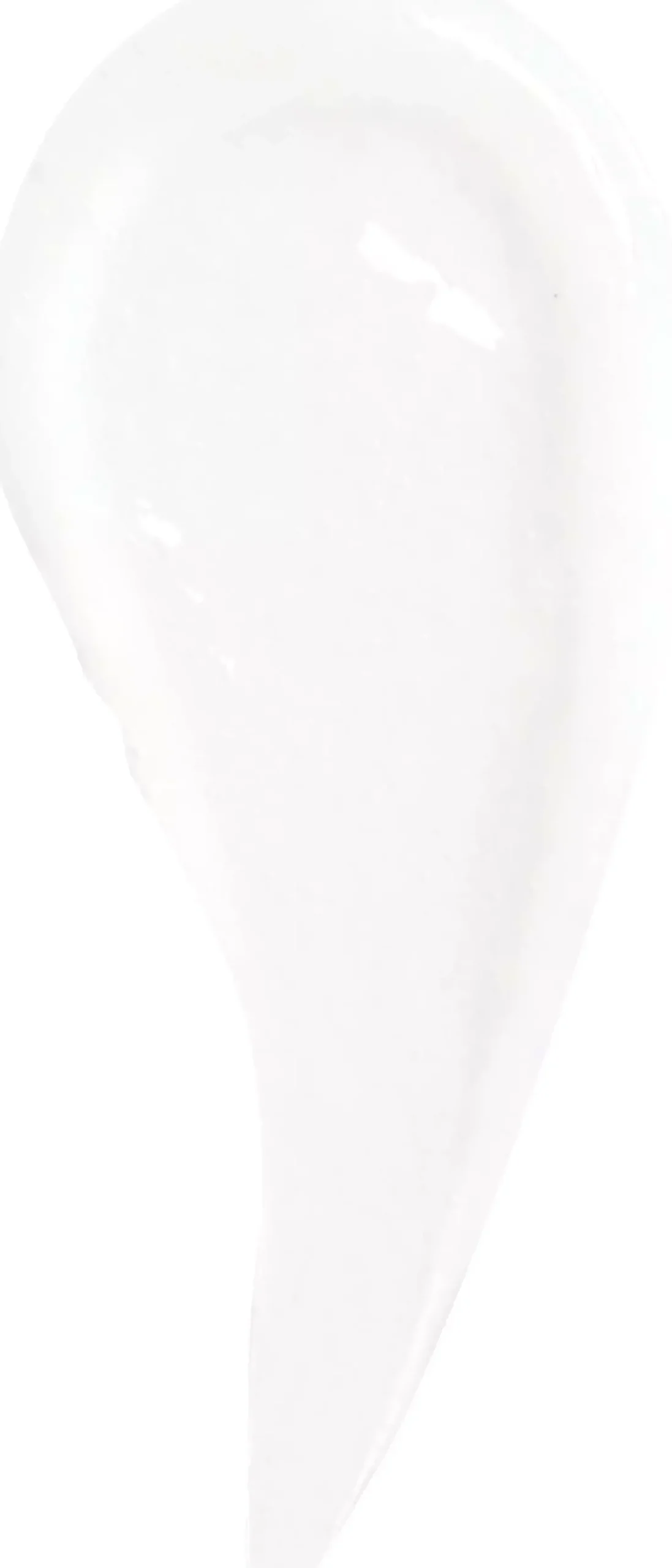 NYX PROFESSIONAL MAKEUP The Brow Glue Lamination Gel 01 Transparent