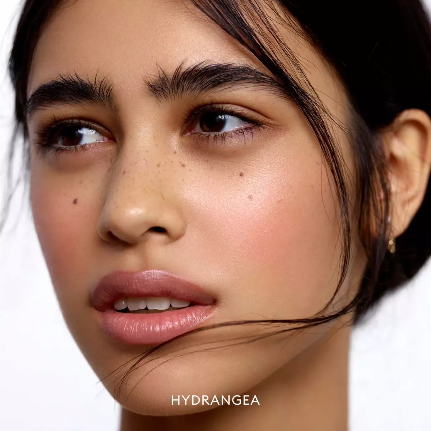 Rose Inc Blush Divine Radiant Lip & Cheek Color Delphine