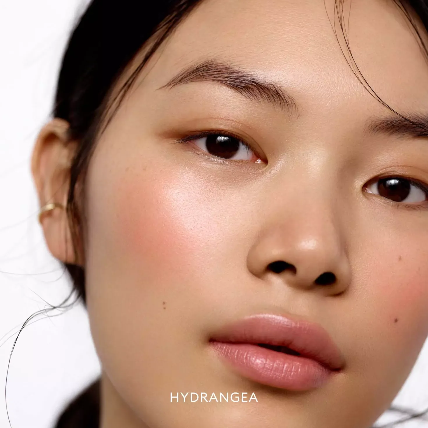 Rose Inc Blush Divine Radiant Lip & Cheek Color Delphine