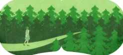 Steambase Daily Eyemask 5pcs Cypress Forest 90 g