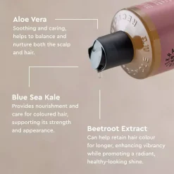 UrtekramSoft Wild Rose Dare to Dream Shampoo 250 ml