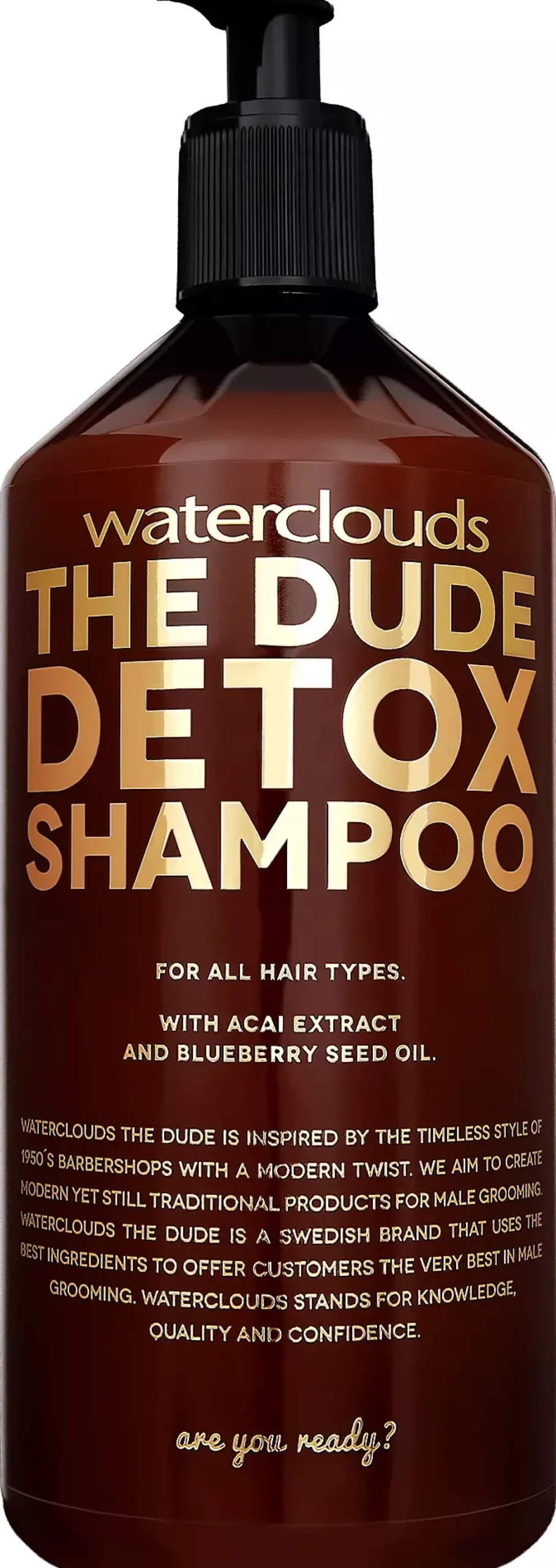WatercloudsThe Dude Detox Shampoo 250 ml