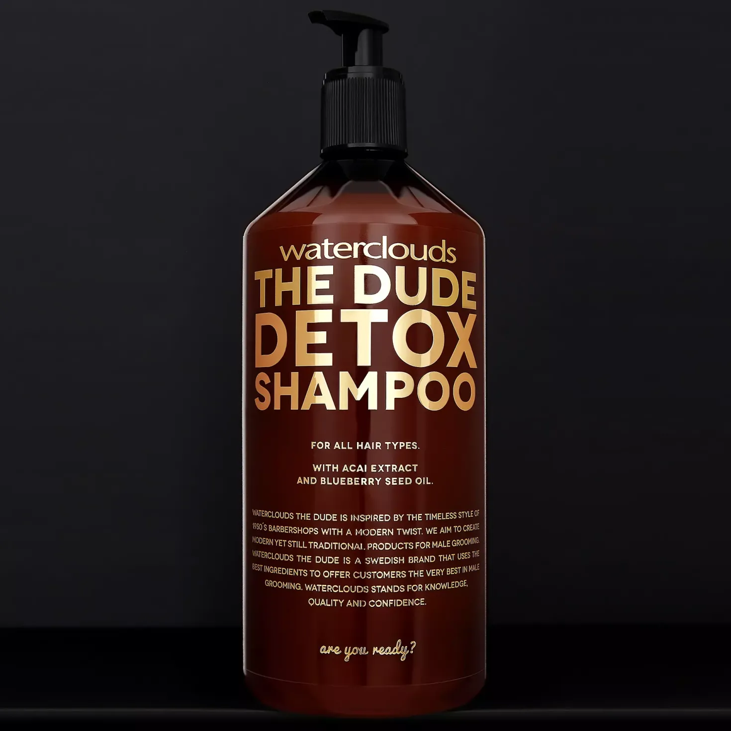 WatercloudsThe Dude Detox Shampoo 250 ml