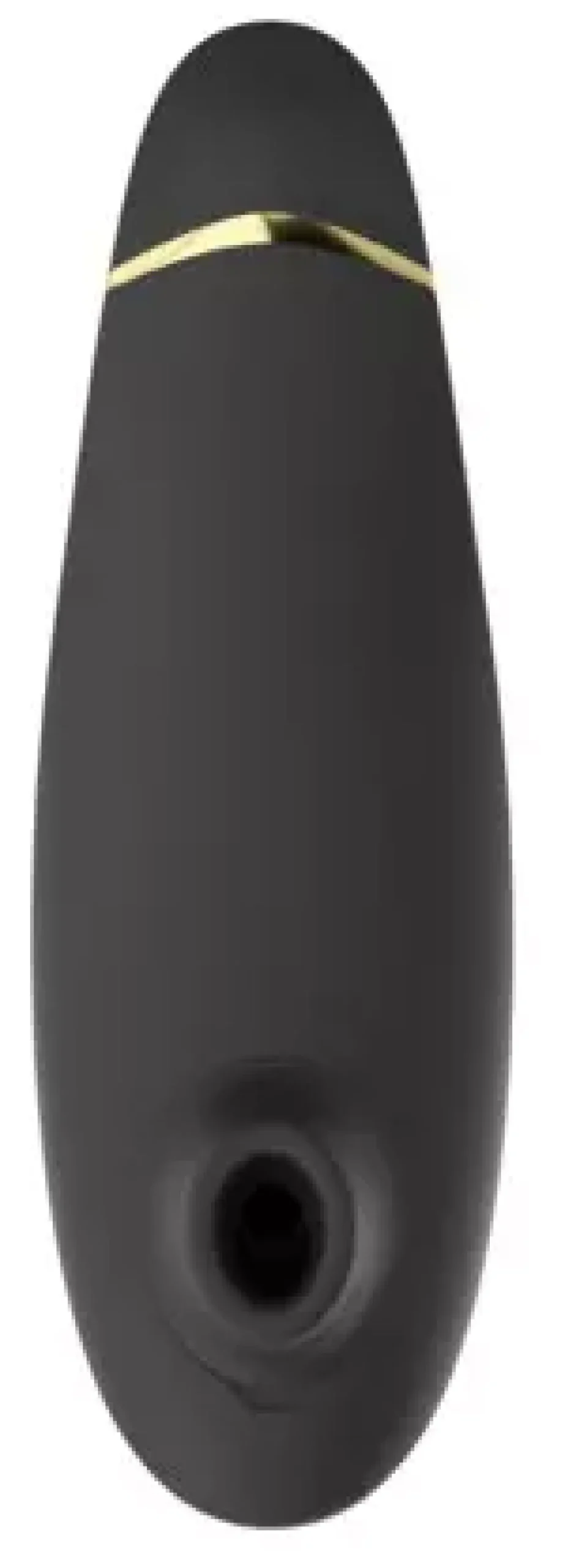 Womanizer Premium 2 Gray
